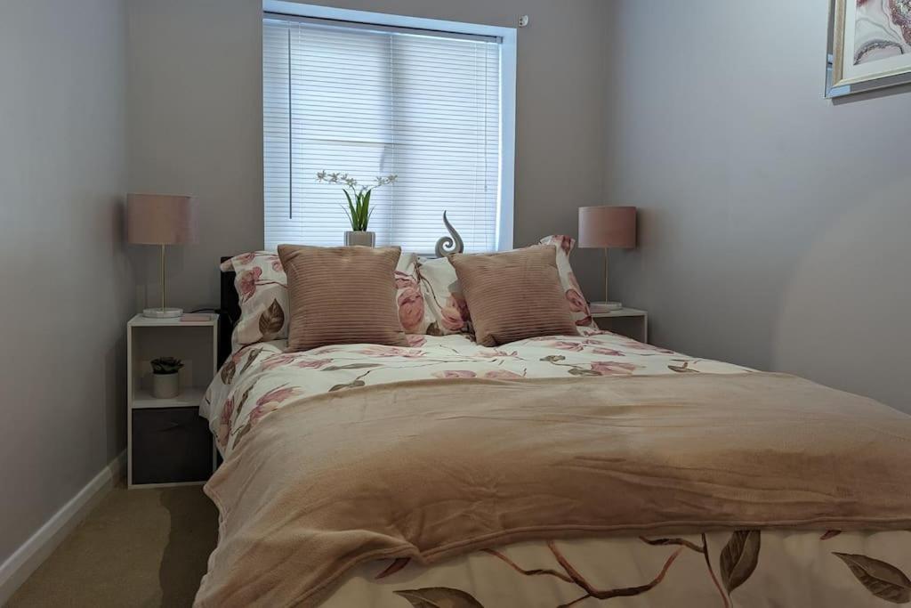 אוקספורד Turtle Dove Apartment מראה חיצוני תמונה